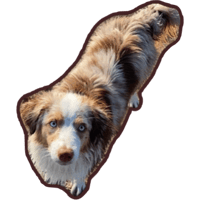 sticker image #3