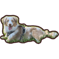 sticker image #4