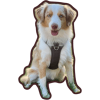 sticker image #5
