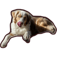 sticker image #6