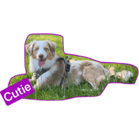 sticker image #4