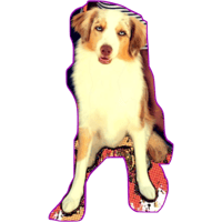 sticker image #5