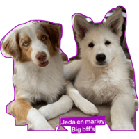 sticker image #6