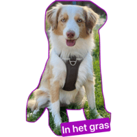 sticker image #8