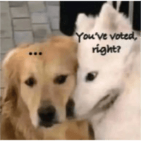sticker image #1