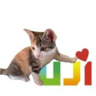 tray_icon #131695 sticker_pack