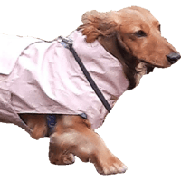 sticker image #10