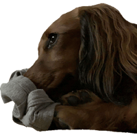 sticker image #11