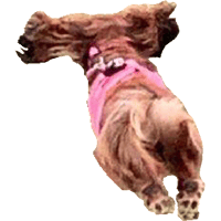 sticker image #12
