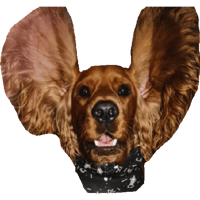 sticker image #13