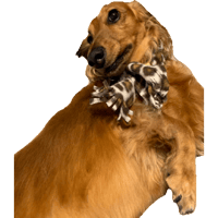 sticker image #14