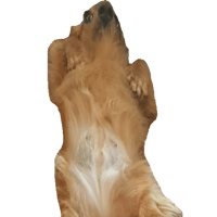 sticker image #15