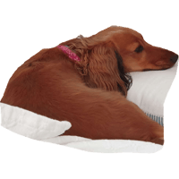 sticker image #16