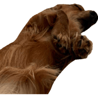 sticker image #17