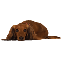 sticker image #18