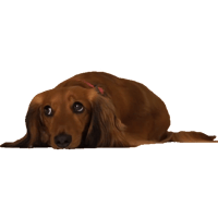 sticker image #19