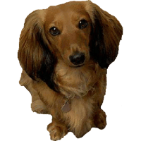 sticker image #2