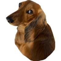 sticker image #3