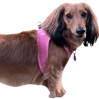 sticker image #4