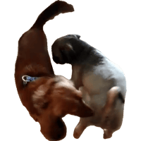 sticker image #5