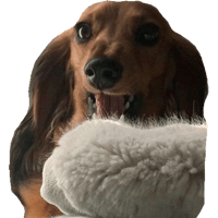 sticker image #6