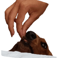 sticker image #8