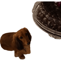 sticker image #9