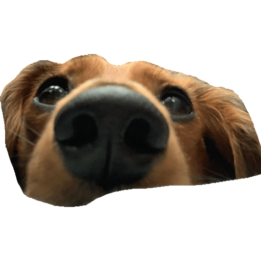 tray_icon #71714 sticker_pack