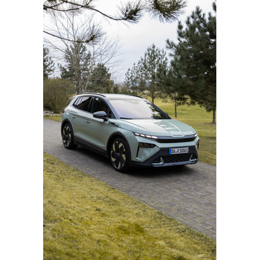 tray_icon #121914 sticker_pack