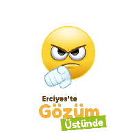 sticker image #1