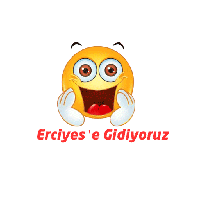 sticker image #11
