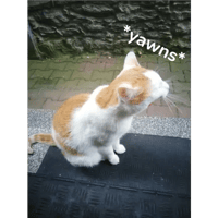 sticker image #5
