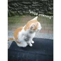 sticker image #7