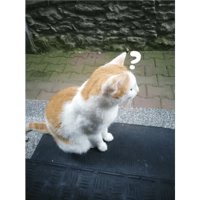 sticker image #8