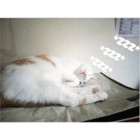sticker image #9