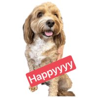 sticker image #1