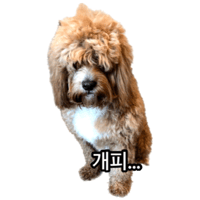 sticker image #3