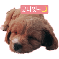 sticker image #9