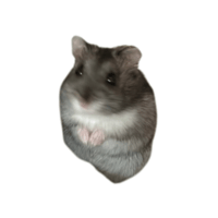 sticker image #6