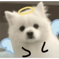 sticker image #24