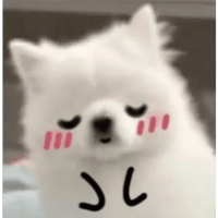 sticker image #5