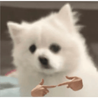 sticker image #8