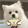 tray_icon #119034 sticker_pack