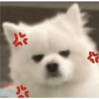 sticker image #9