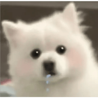sticker image #20