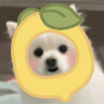 tray_icon #119033 sticker_pack