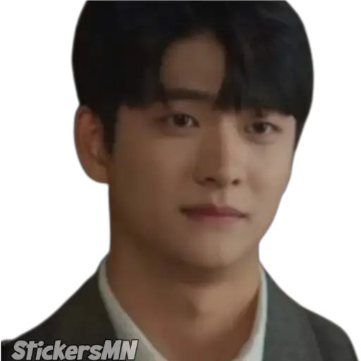 Sticker Maker Extraordinary Attorney Woo 🐳