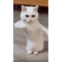 sticker image #15