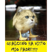 sticker image #10