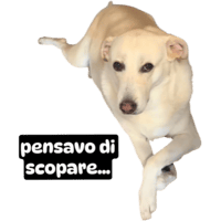 sticker image #3